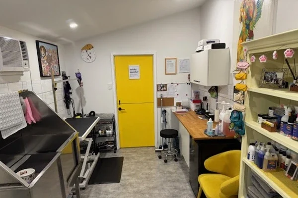 Inside the Bobby Dazzler dog salon