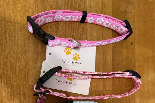 pet collars