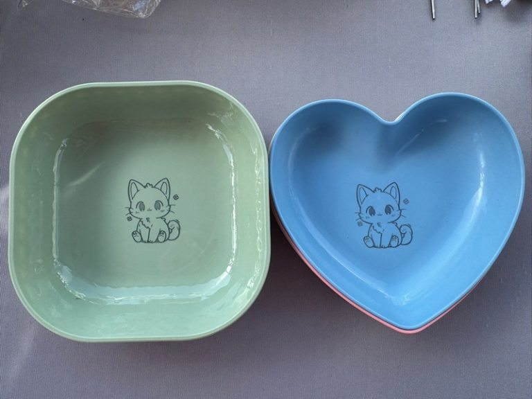 cat bowls